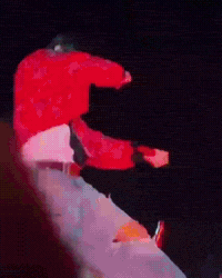 World Tour Fire GIF