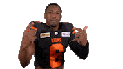 British Columbia Football Sticker by BC Lions