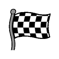 Racing Flag Sticker by Sampsoid