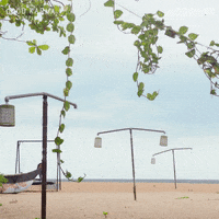GIF by Acorn TV