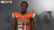 Cnfb GIF by Carson-Newman Athletics