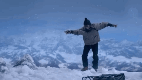 A cat looking at a computer screen