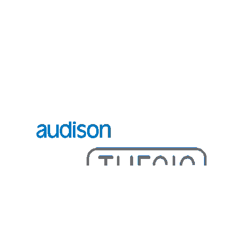 Car Audio Logo Sticker by Elettromedia SRL