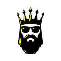 shine blingking Sticker by Bling King Carwash