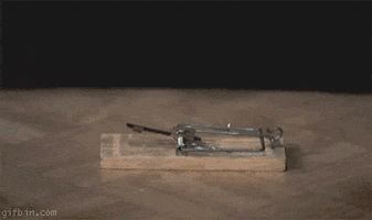 Vs Trap GIF