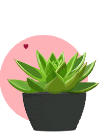 Plant Sticker by PRO-MIX Gardening