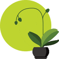 Flowers Plant Sticker by PRO-MIX Gardening