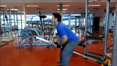 remo con barra t GIF