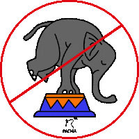 Cruelty Free Animales Sticker by Partido Animalista PACMA