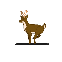 whitetailresort whitetailresort whitetailskiresort Sticker