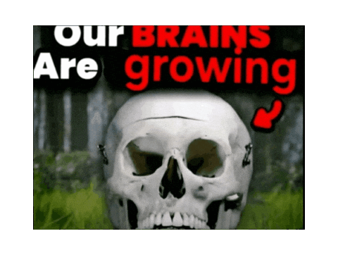 realbullshat brain realbullshat Sticker