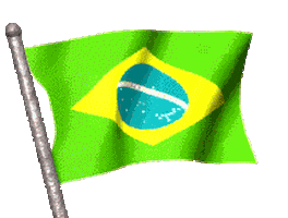 brazil STICKER