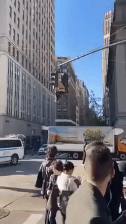 'Only in New York': NYPD Takes Man Sitting on Midtown Traffic Light to Hospital