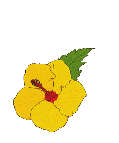 Flower Sticker by sarokey