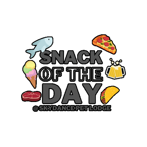 skydancepetlodge giphygifmaker Sticker