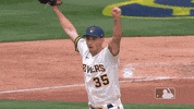 Regular Season Sport GIF by MLB