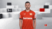 Bayer Leverkusen Reaction GIF by Bundesliga