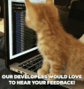 GIF by Quizizz 
