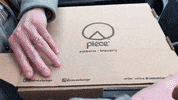 N6Wc Pizza Box GIF by Number Six With Cheese