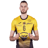 Mask Volleyball Sticker by PGE Skra Bełchatów