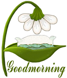 goodmorning STICKER