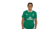 Sticker Emotionen Sticker by SV Werder Bremen