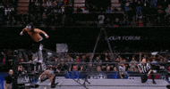 The Elite Wrestling GIF by AEWonTV