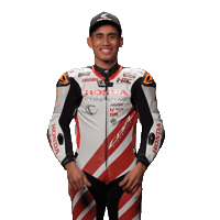 Happy Honda Sticker by WorldSBK