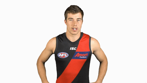essendonfc giphyupload dons bombers essendon GIF