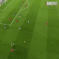 premier league football GIF by Liverpool FC