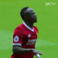 Premier League Sport GIF by Liverpool FC