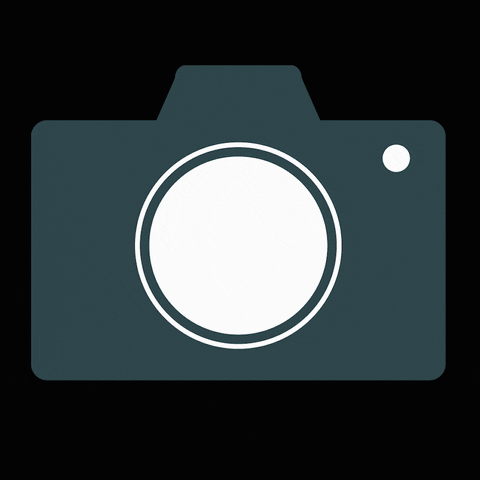 timlutz giphyupload GIF