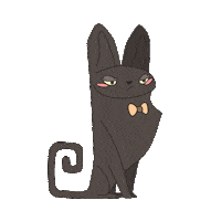 Cat Pet Sticker by Mi Señal