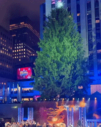 Christmas Arrives in New York With Rockefeller Tree Lighting Ceremony