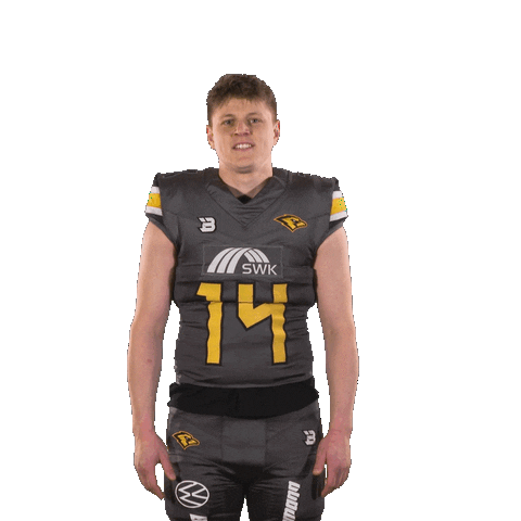 Football Sport Sticker by Krefeld Ravens