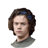one direction 1d STICKER by imoji