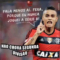 Serie B Fla Flu GIF