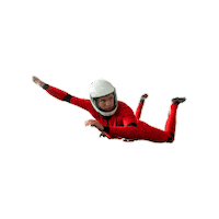 realfly_sion wind wind tunnel indoorskydiving realfly Sticker