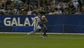 soccer mean GIF by LA Galaxy