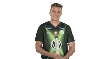 Vfl Wolfsburg Fifa Sticker by Bundesliga
