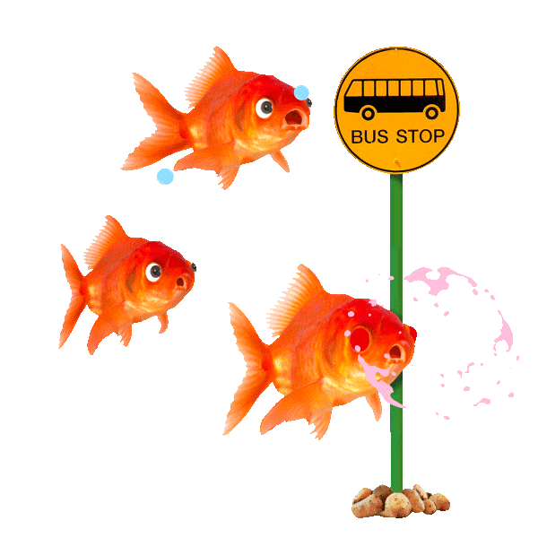 Bored On My Way Sticker by chris timmons