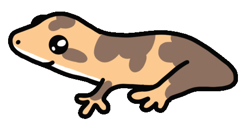 emzoticofficial giphyupload lick lizard reptile Sticker