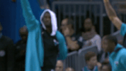 charlotte hornets sport GIF by NBA