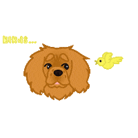 Dog Sticker