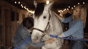 country music horses GIF by Clare Dunn