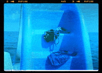 blue water summer GIF by Re Modernist