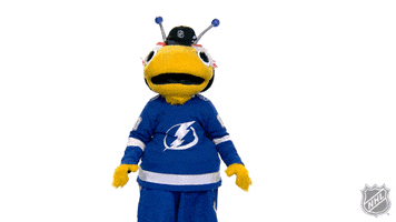 Tampa Bay Lightning Sport GIF by NHL