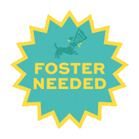 Foster Sticker by HIT Living Foundation