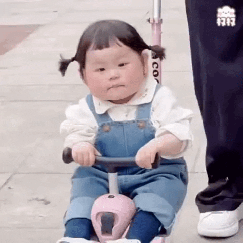 Nhacaikimsa89 giphyupload kimsa kimsa88 kimsa89 GIF
