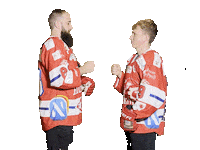 Hockey Sticker by dsc-eishockey